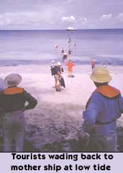 Tourists wading back to mother ship at low tide
